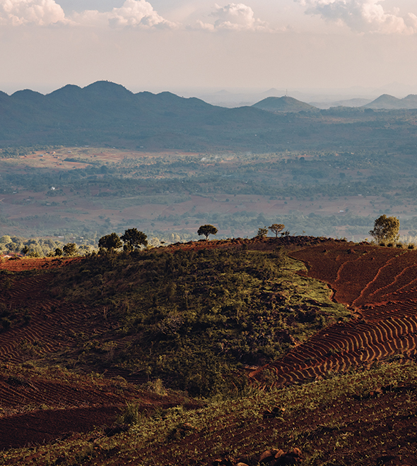 À la découverte du Malawi