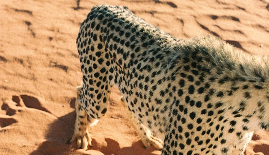 Namibie