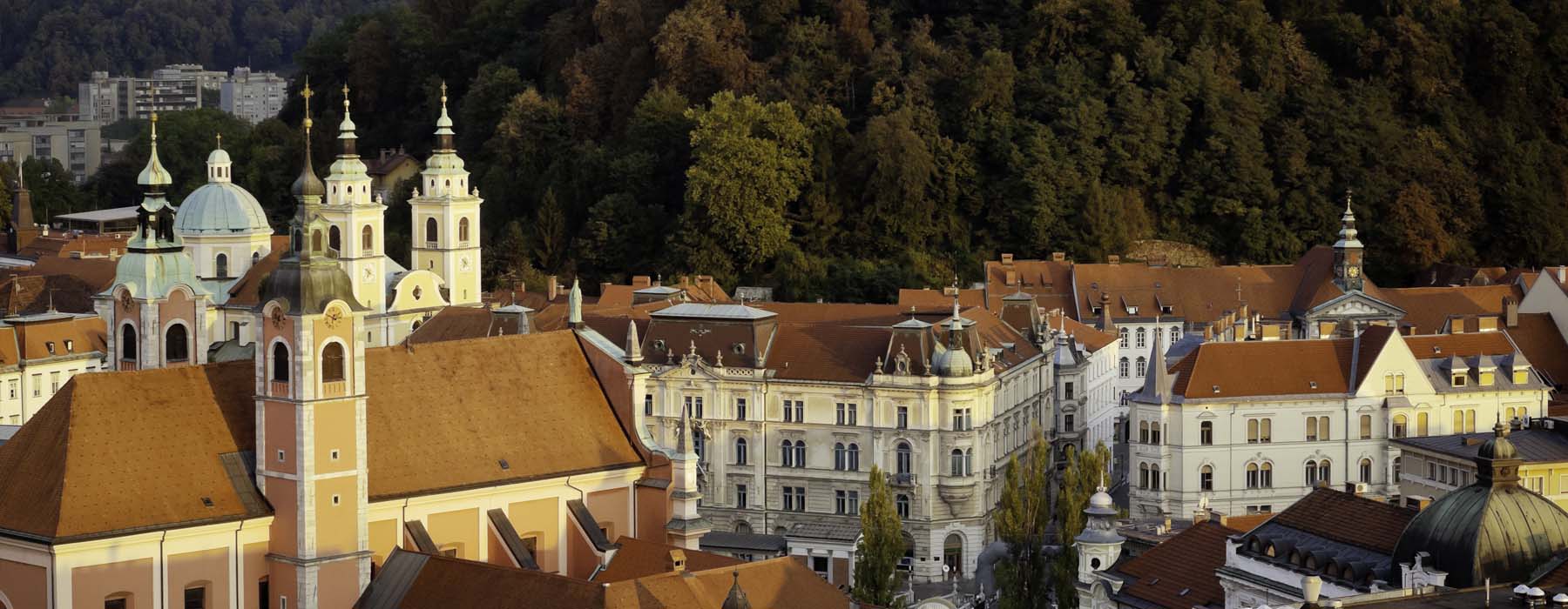 Slovénie Agence de rencontres poly crochet vers le haut