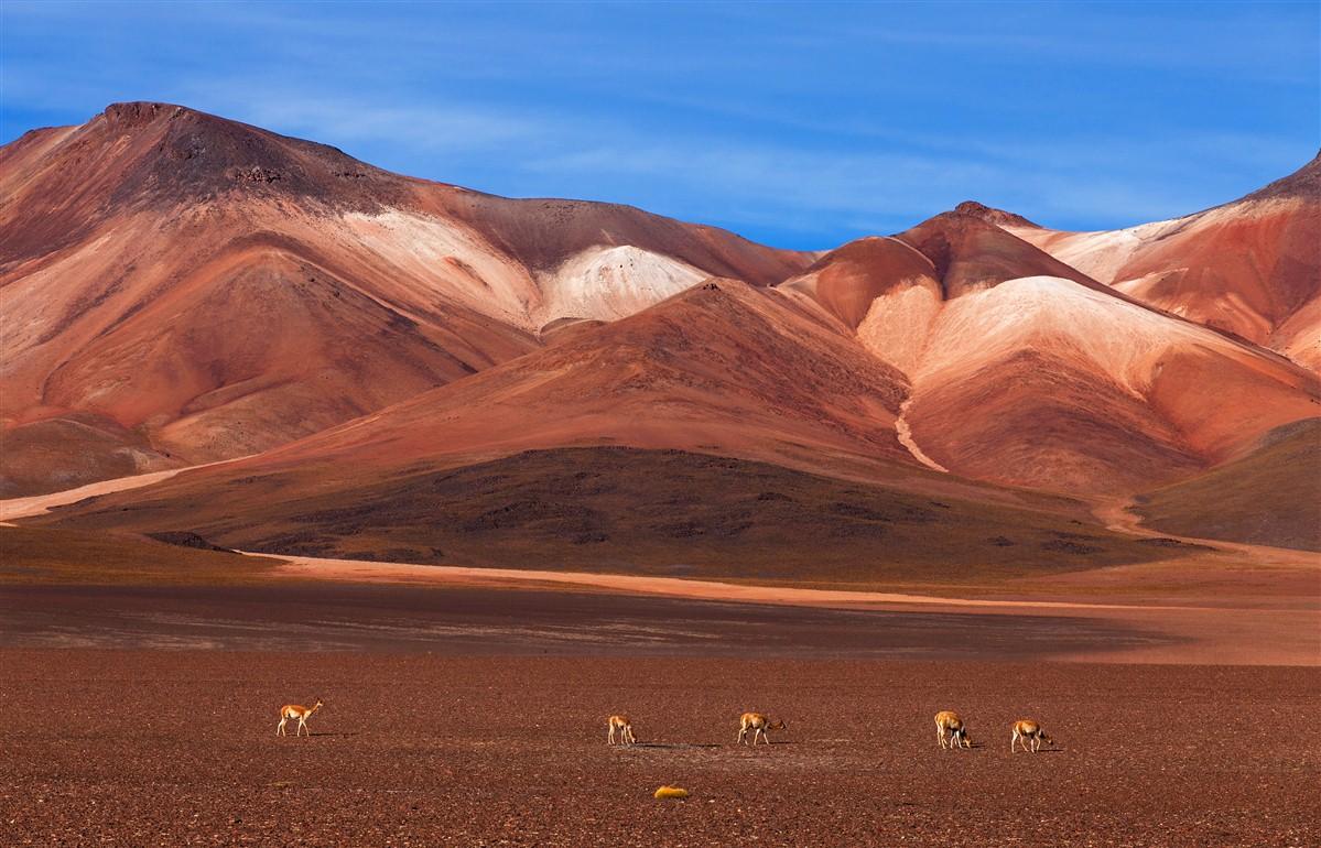 bolivie paysage