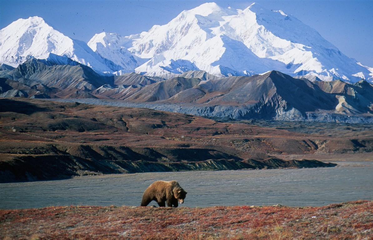 image de alaska