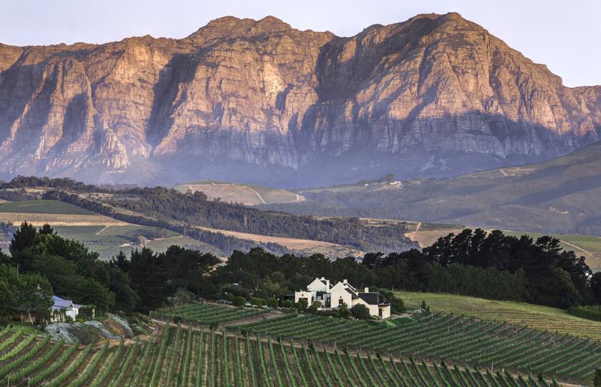 Vins d’Afrique du Sud : une route à mémoire de France