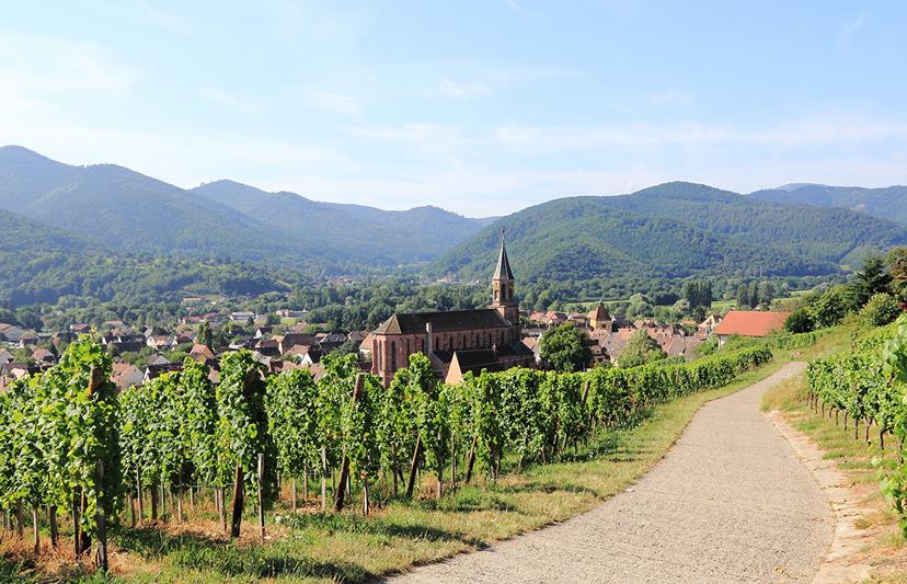 Les plus belles routes des vins en France