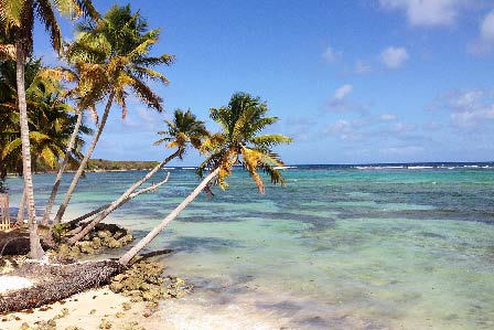 Voyage en Guadeloupe