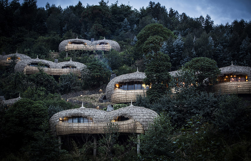 Bisate Lodge : cocons perchés et paradis vert au Rwanda