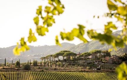 Toscane et Ombrie, l'Italie verte