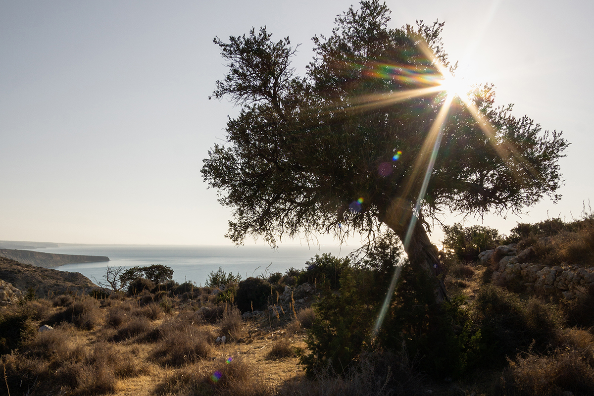 Les plus beaux paysages de Chypre