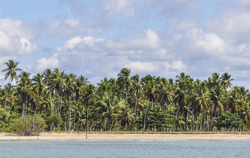 Les plus belles plages de Salvador da Bahia