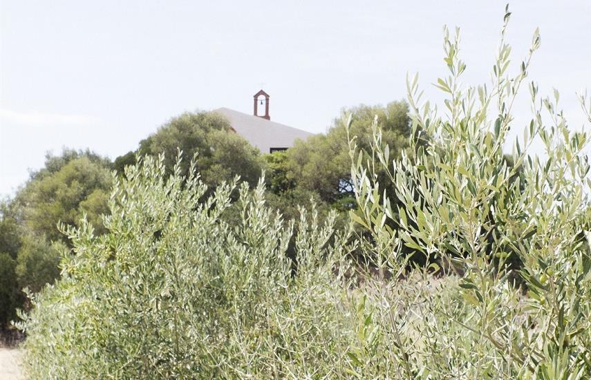 Sardaigne, l'île étendard