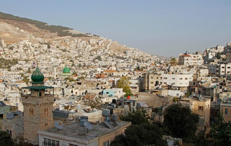 City Guides : Hebron, Naplouse, Bathléem, Jericho, Jenine, Ramallah