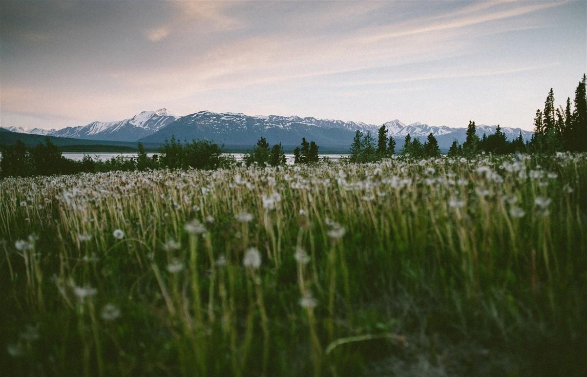 5 expériences à vivre en Alaska et nulle part ailleurs