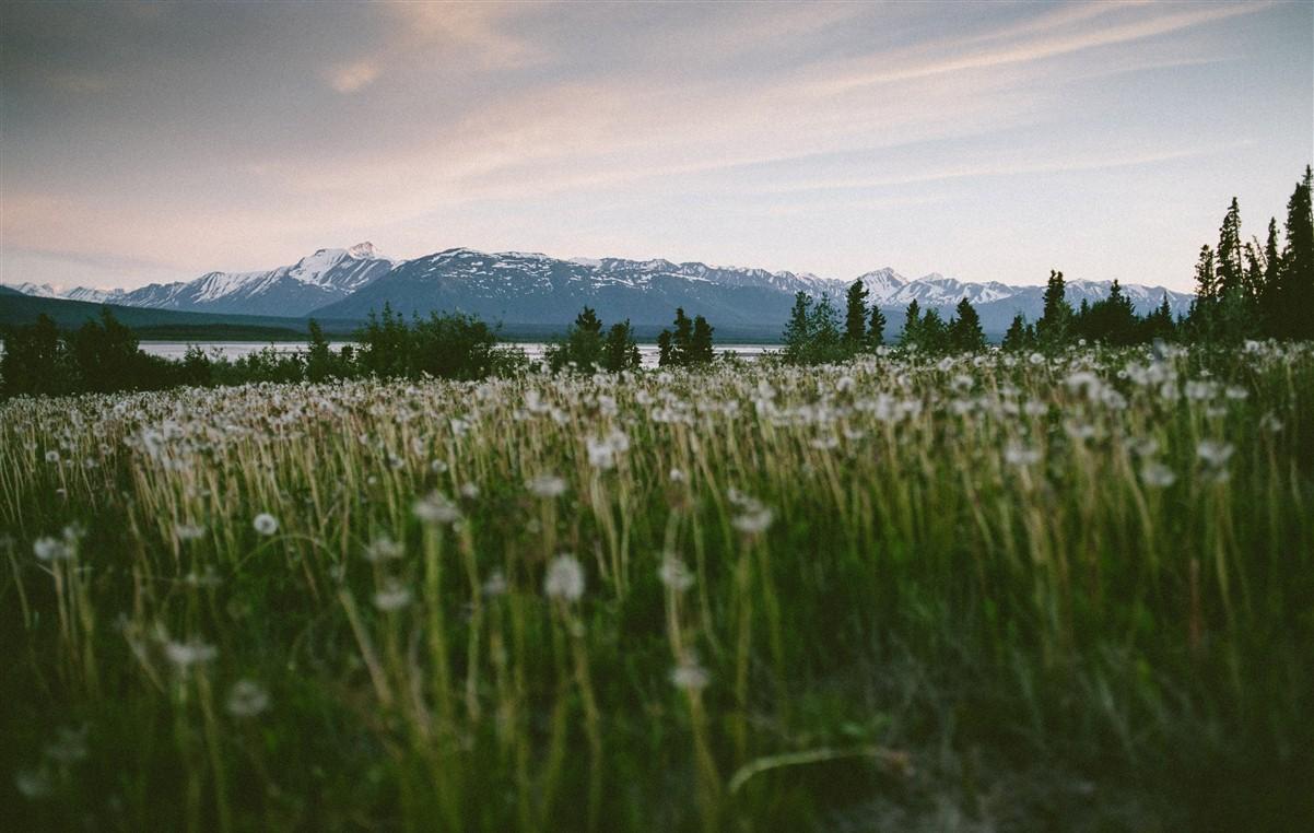 5 expériences à vivre en Alaska et nulle part ailleurs