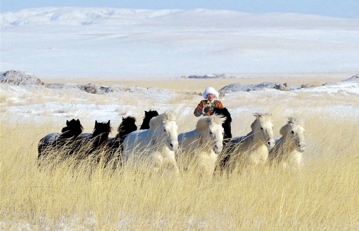 A vivre en Mongolie et nulle part ailleurs