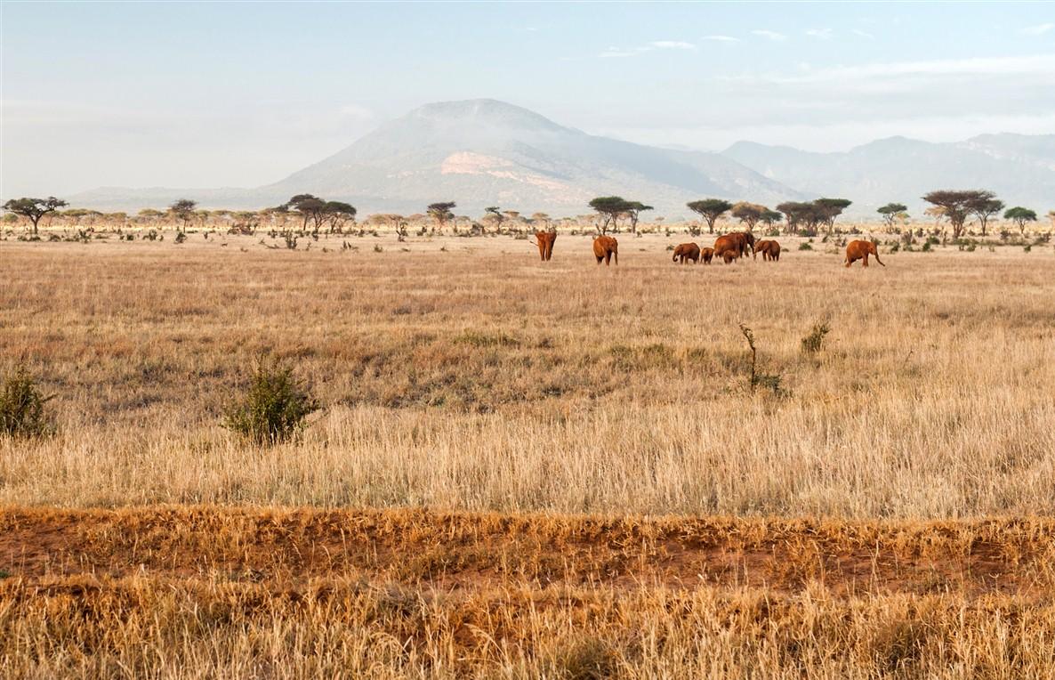 A vivre au Kenya et nulle part ailleurs