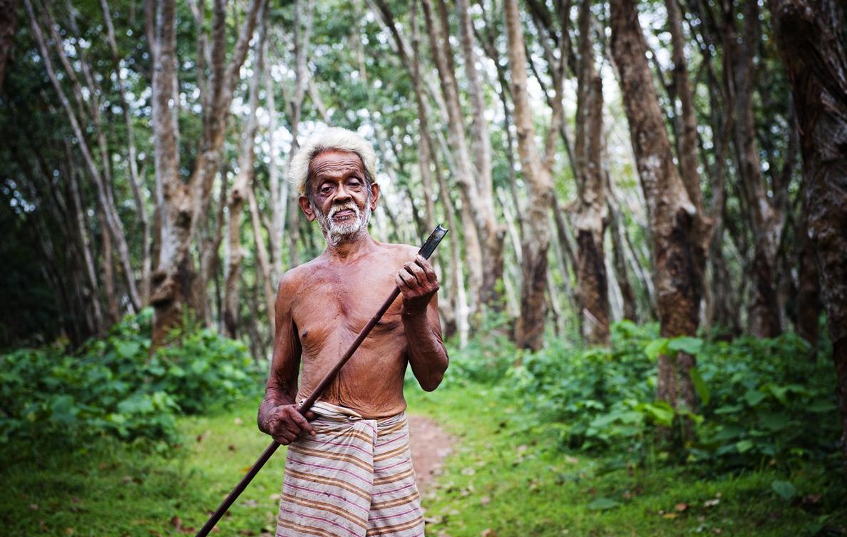 A vivre au Sri Lanka et nulle part ailleurs