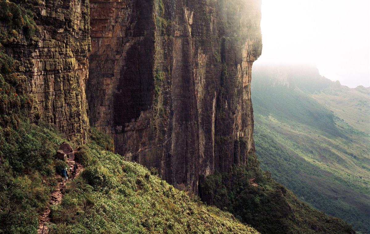 Amérique latine, un continent de natures